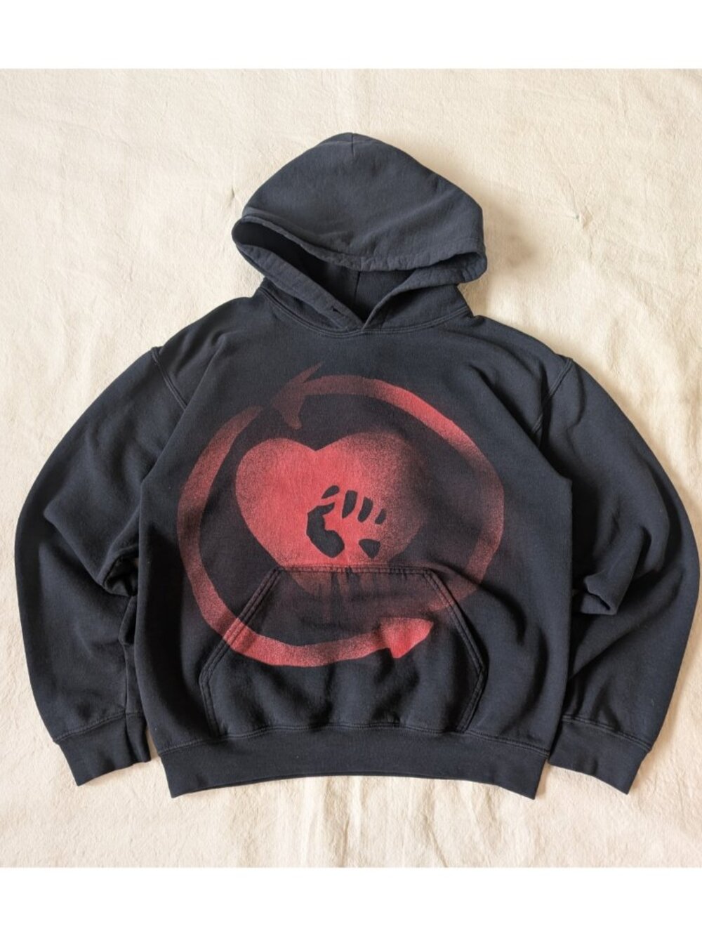 Rise Against VTG 2008 Appeal to Reason Black Graphic Band Hoodie Punk Rock SM - Picture 2 of 8